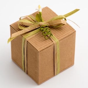 Kraft - Kubus geschenkdoosjes 6 x 6 x 6 cm - 10 stuks