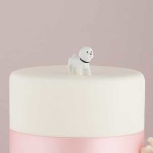 Miniatuur Hond Bichon Frise