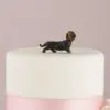 Miniatuur Hond Dashond