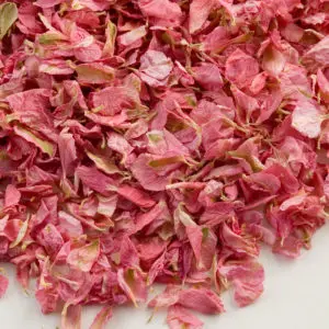 Roze Delphinium Bloemblaadjes