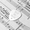 Romantisch Plectrum Gepersonaliseerd